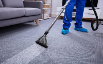 Comment détacher un tapis en profondeur tout en respectant les fibres